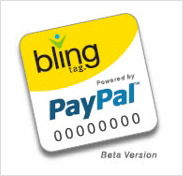 PayPal and Bling Nation