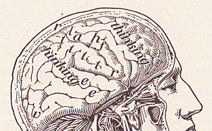 Our Brain by perpetualplum, on Flickr