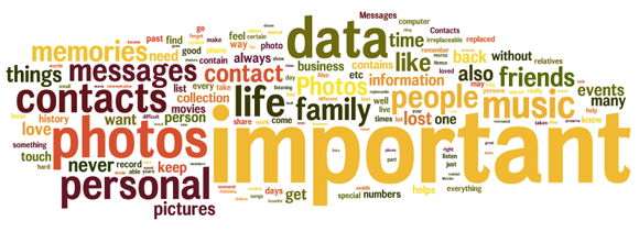 Singly word cloud from data survey