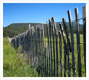Fence Friday by DayTripper Tom, on Flickr