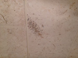 bathroom-tiles