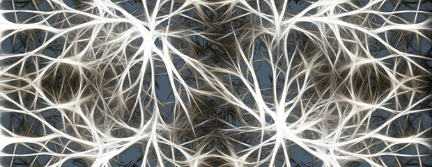 neurons-582054_1280